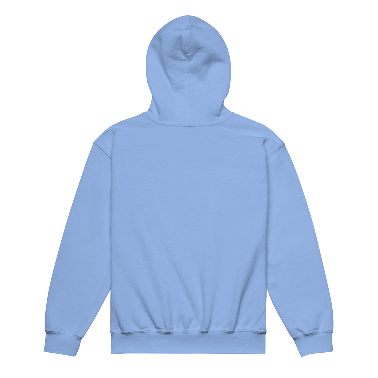 youth heavy blend hoodie