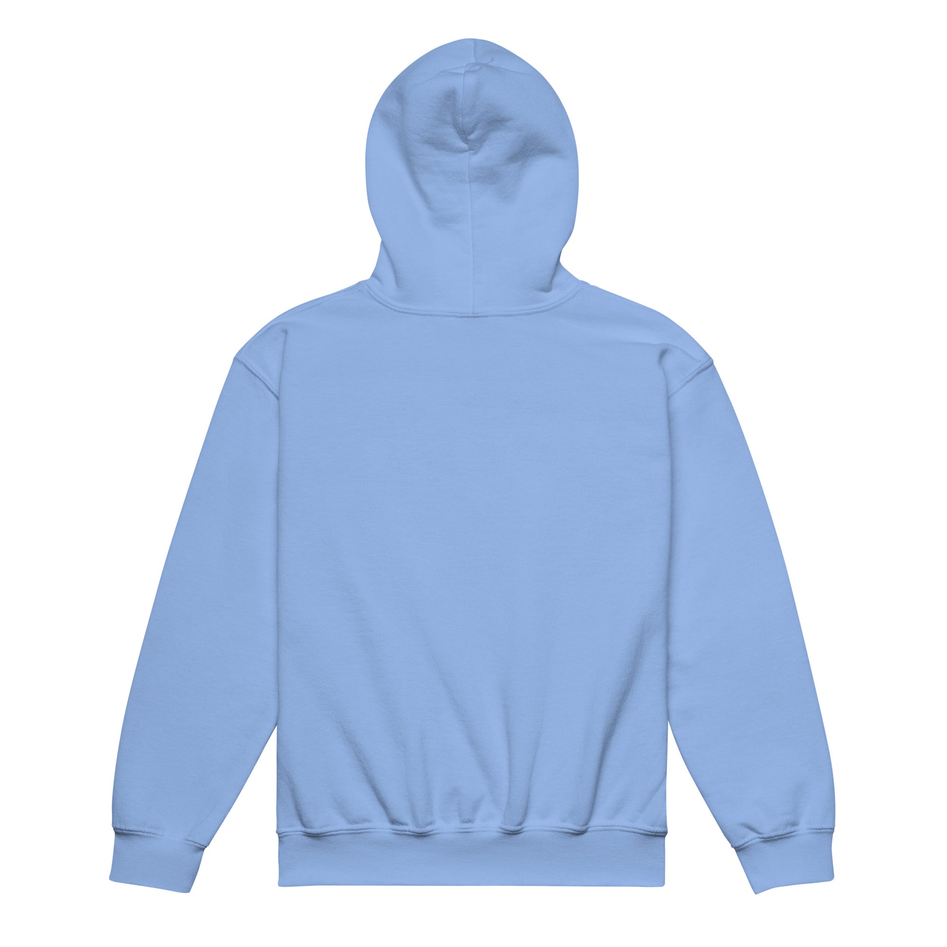 Youth heavy blend hoodie