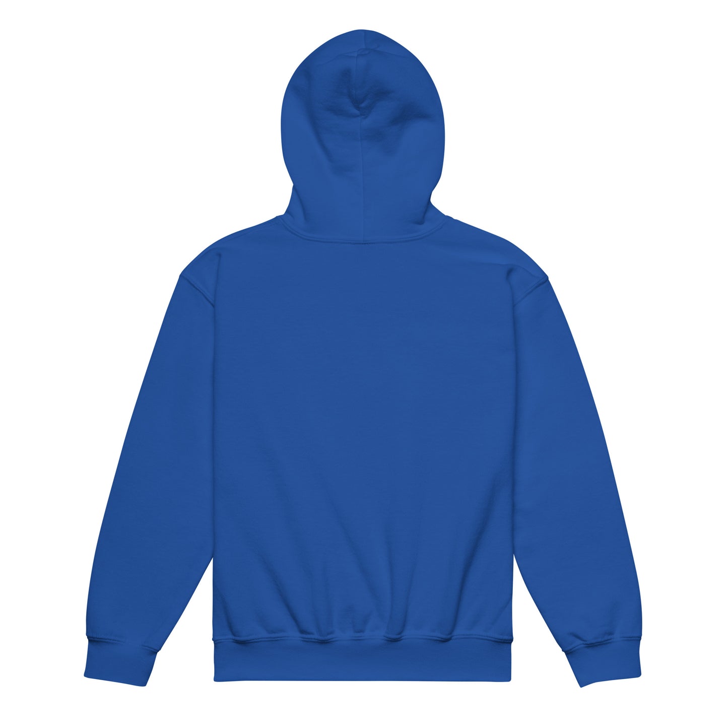 youth heavy blend hoodie